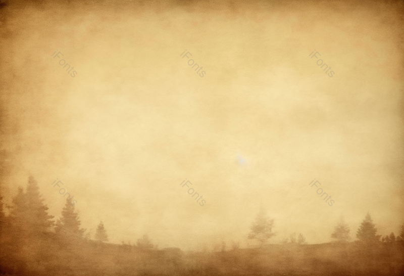 旧黄皮纸背景自然状态旧纸树影水墨,高清,摄影图,摄影图片,图片大全,摄影图免费下载